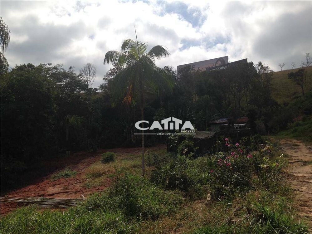 Terreno, 3 hectares - Foto 11