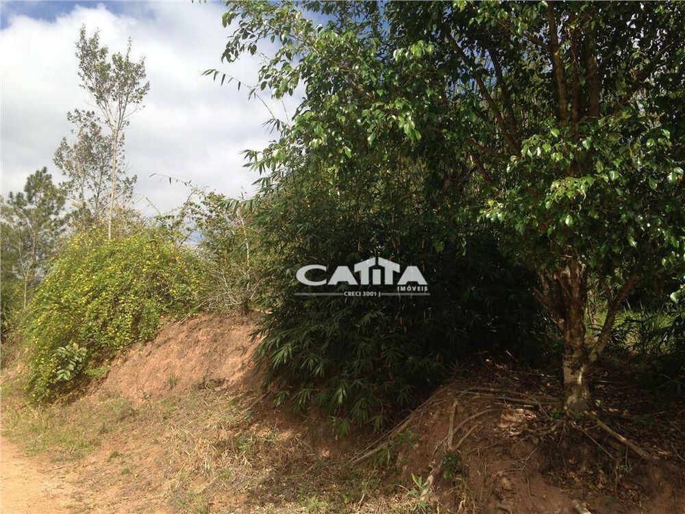 Terreno, 3 hectares - Foto 7