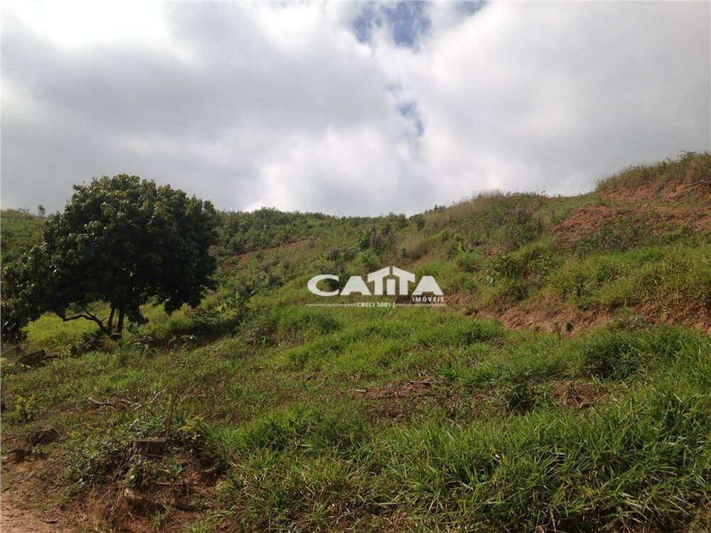 Terreno, 3 hectares - Foto 10