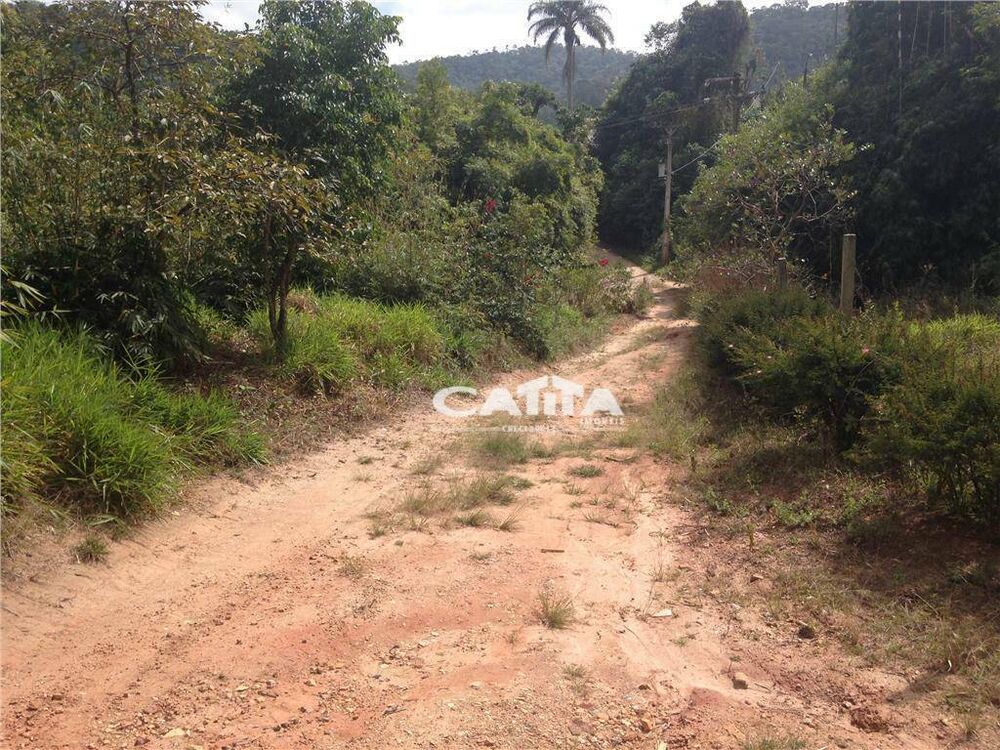 Terreno, 3 hectares - Foto 13