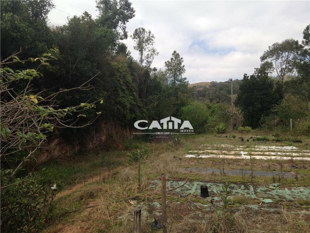 Terreno, 3 hectares - Foto 17