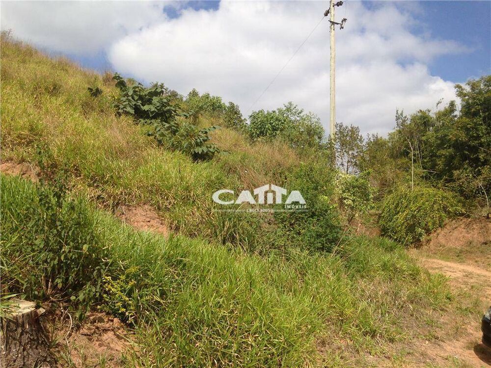 Terreno, 3 hectares - Foto 8