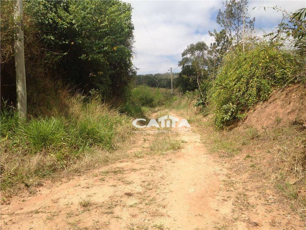 Terreno, 3 hectares - Foto 14
