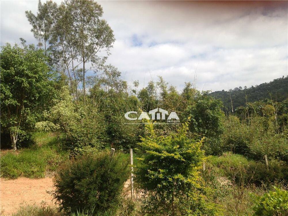 Terreno, 3 hectares - Foto 9