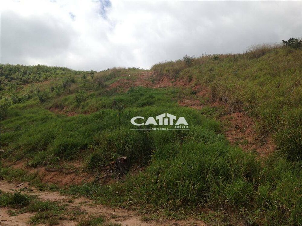 Terreno, 3 hectares - Foto 6