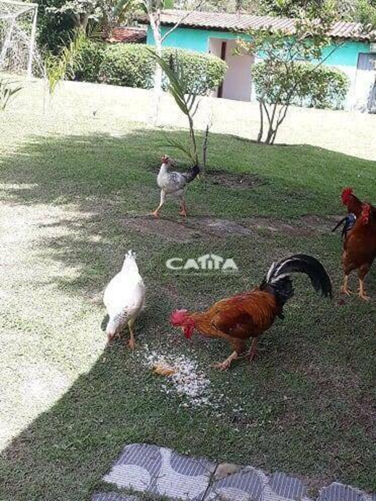 Chácara à venda com 6 quartos, 260m² - Foto 3