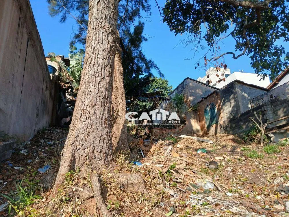 Terreno, 440 m² - Foto 3