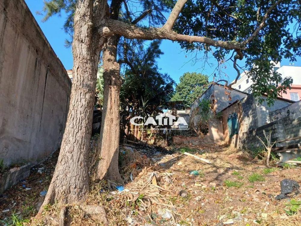 Terreno, 440 m² - Foto 6
