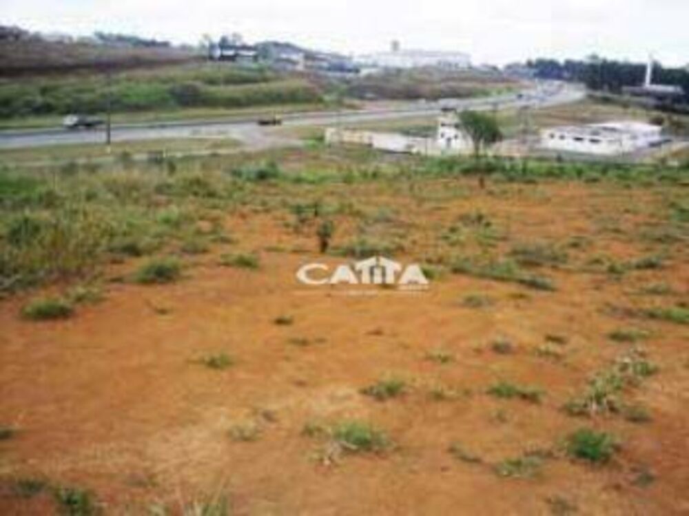 Terreno, 4 hectares - Foto 9