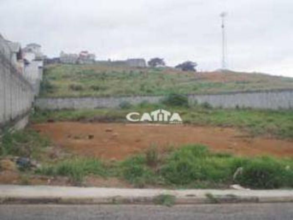 Terreno, 4 hectares - Foto 2