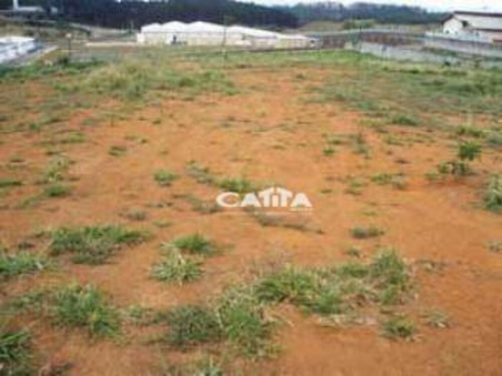 Terreno, 4 hectares - Foto 8