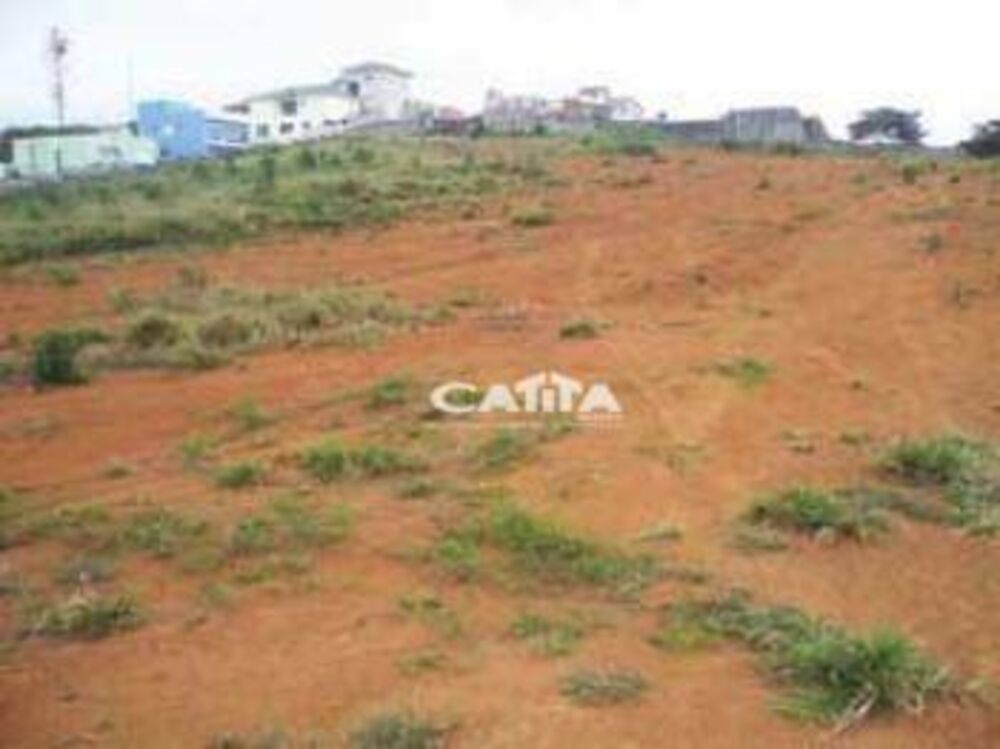 Terreno, 4 hectares - Foto 6