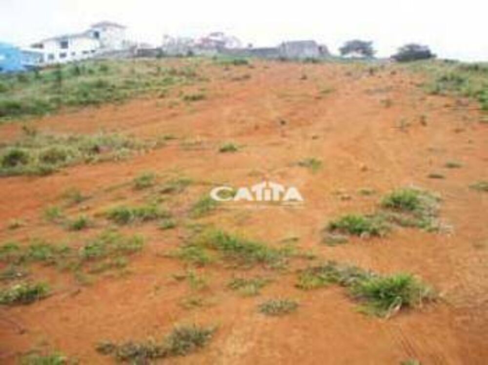 Terreno, 4 hectares - Foto 7