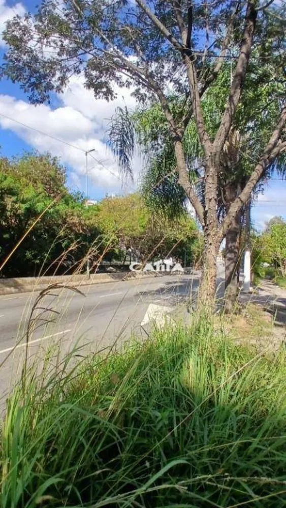 Terreno, 228 m² - Foto 4