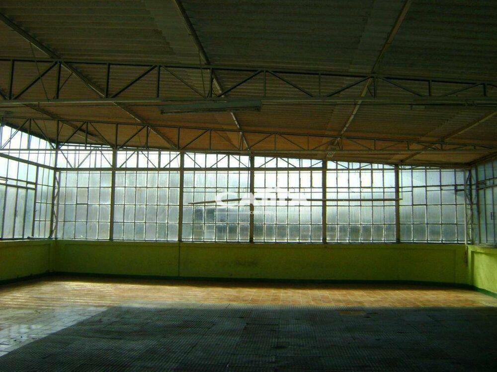 Loja-Salão, 300 m² - Foto 4