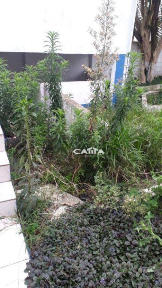 Terreno, 700 m² - Foto 16