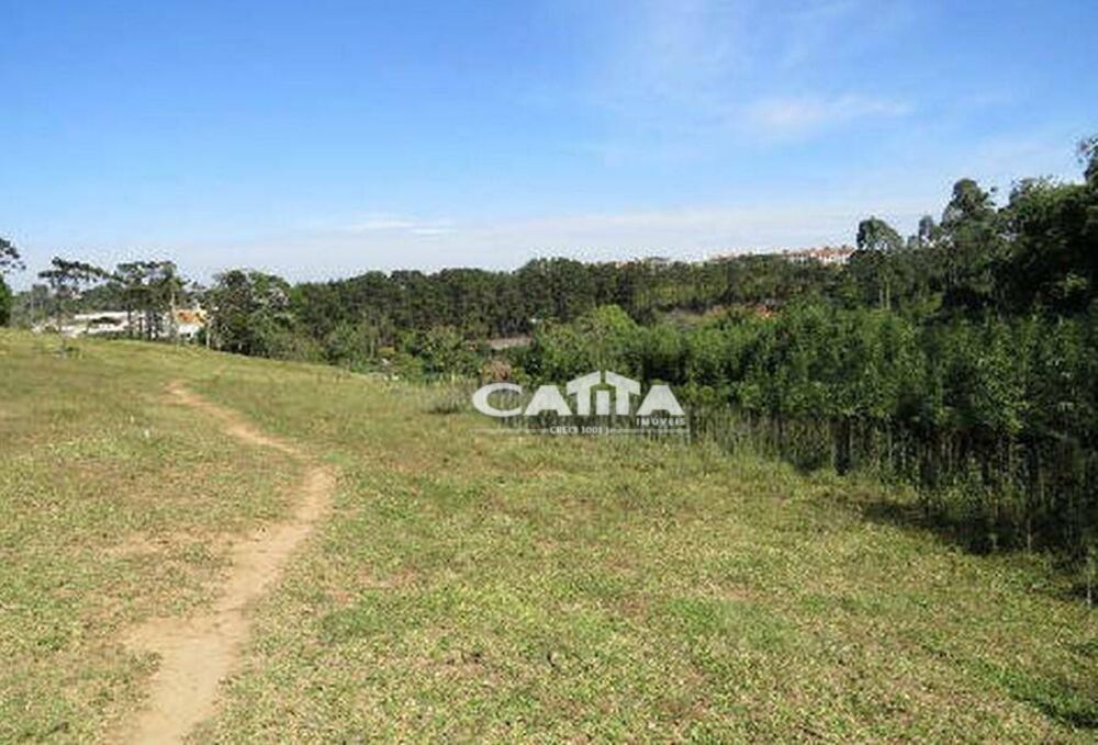 Terreno, 5 hectares - Foto 3