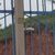 Terreno, 5 hectares - Foto 4