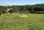 Terreno, 5 hectares - Foto 1