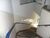 Sala-Conjunto, 30 m² - Foto 3