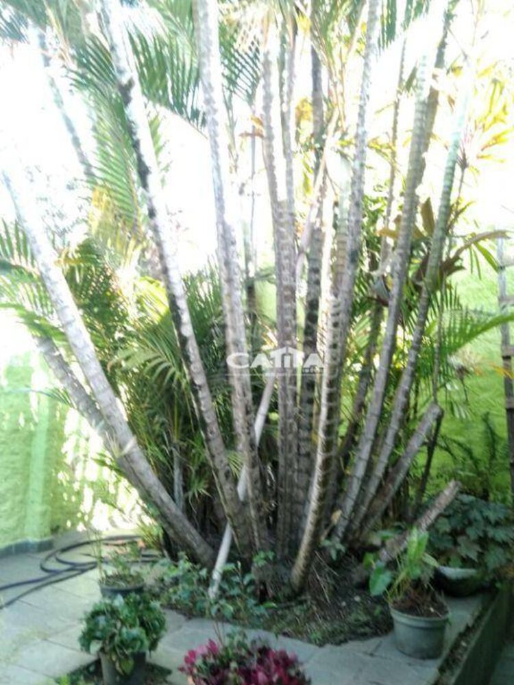 Casa, 2 quartos, 90 m² - Foto 5