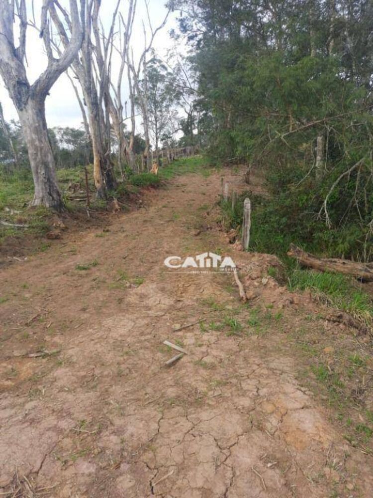 Terreno, 2000 m² - Foto 6