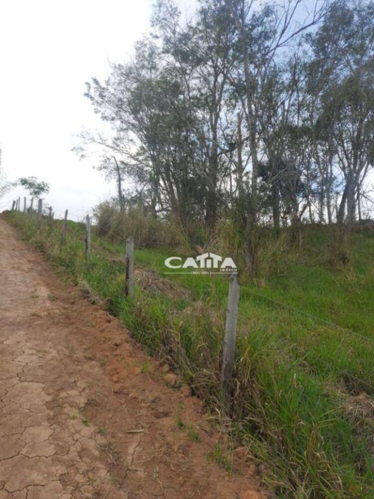 Terreno, 2000 m² - Foto 3