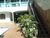 Sobrado, 3 quartos, 372 m² - Foto 15