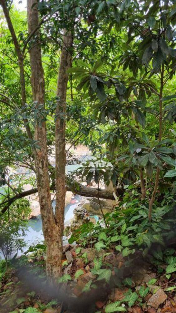 Casa, 3 quartos, 192 m² - Foto 19