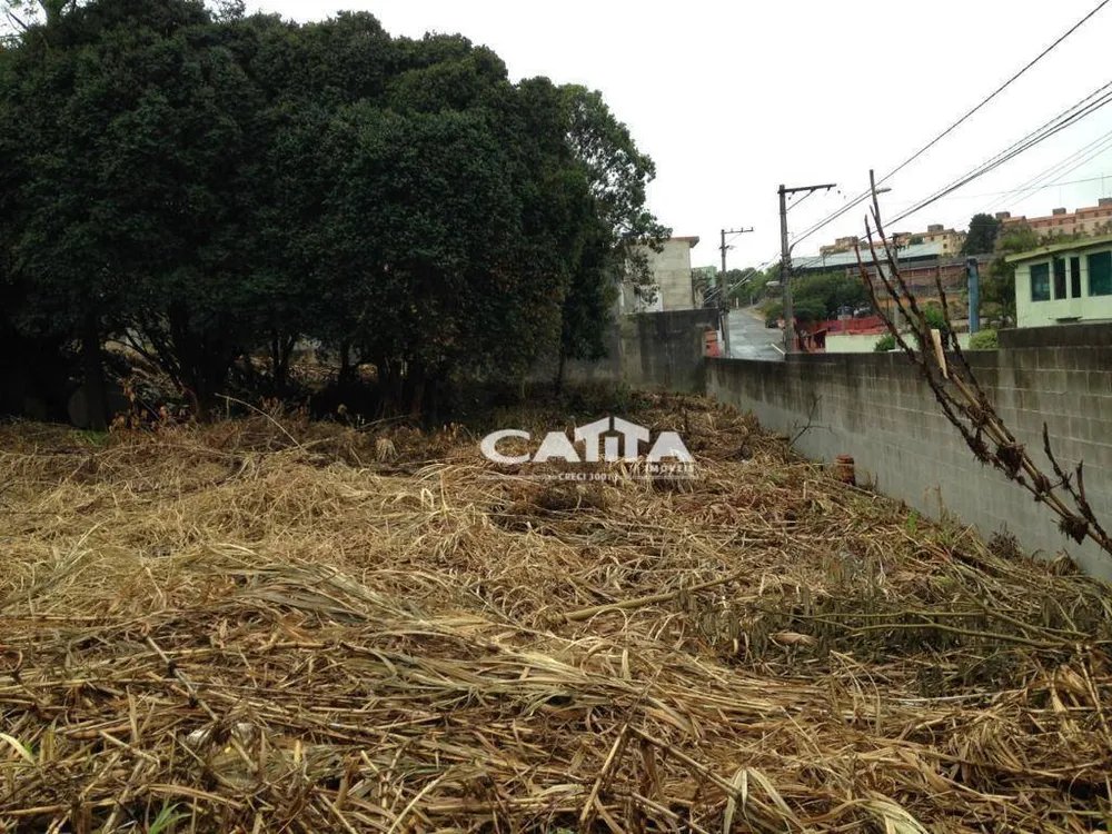 Terreno, 1250 m² - Foto 3