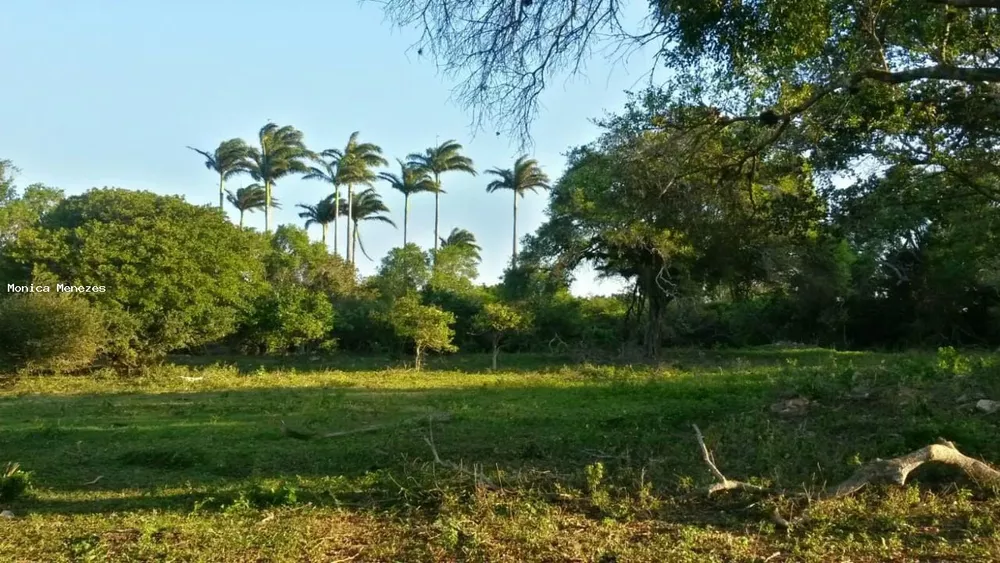 Terreno, 360 m² - Foto 1