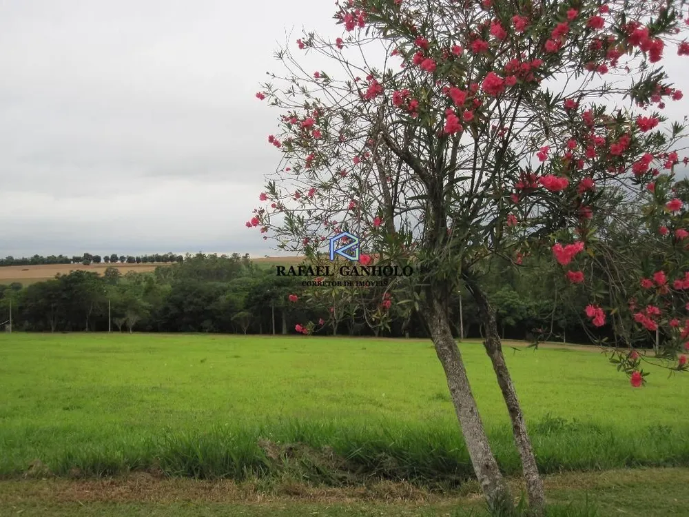Terreno, 1225 m² - Foto 4