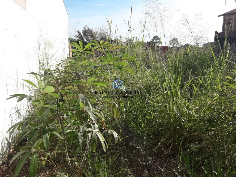 Terreno, 250 m² - Foto 2