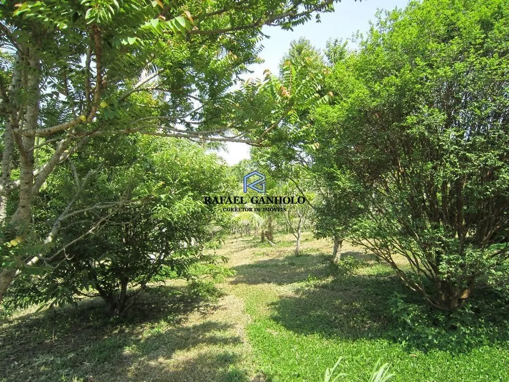 Sítio, 3 quartos, 5 hectares - Foto 1