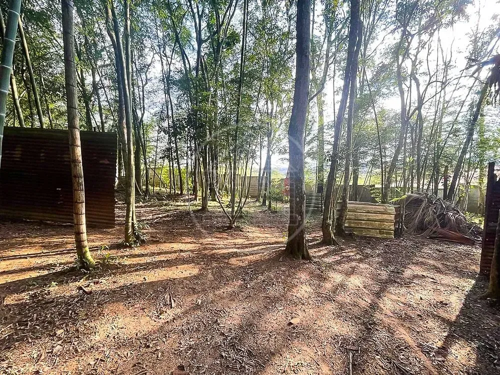 Chácara, 3 quartos, 7426 m² - Foto 3