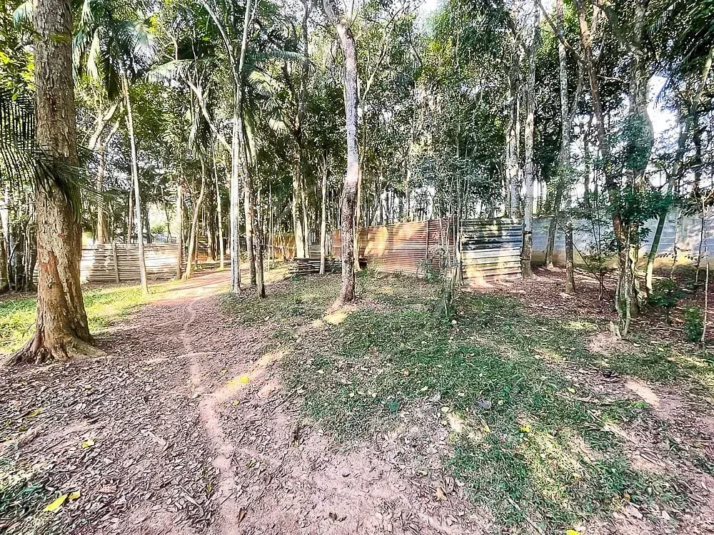 Chácara, 3 quartos, 7426 m² - Foto 4