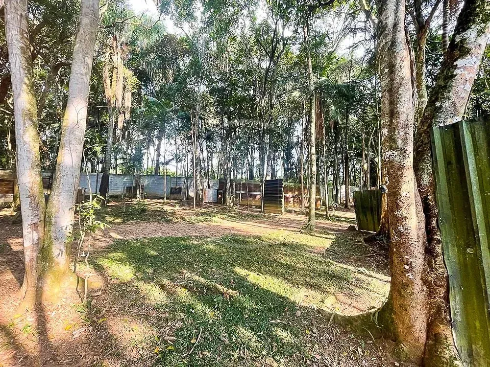 Chácara, 3 quartos, 7426 m² - Foto 5