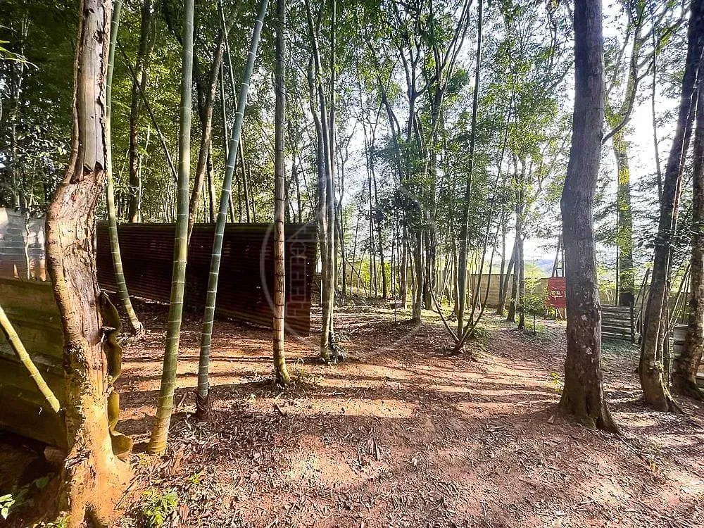 Chácara, 3 quartos, 7426 m² - Foto 9