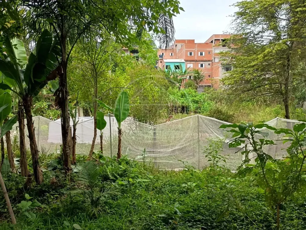 Chácara, 1 quarto, 5000 m² - Foto 1