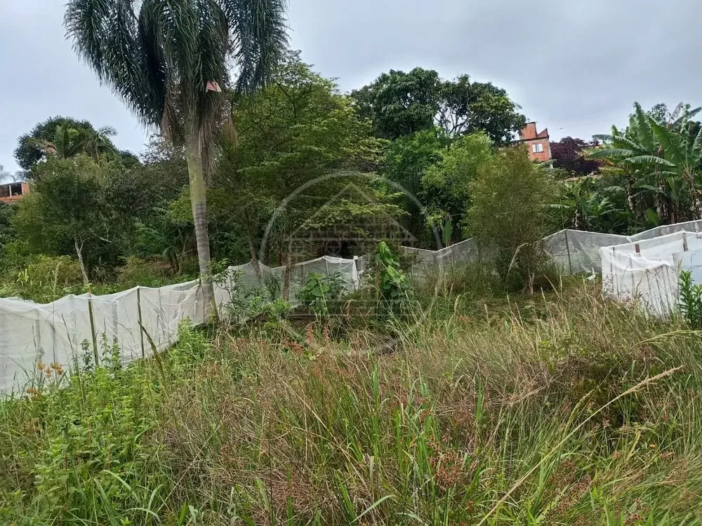 Chácara, 1 quarto, 5000 m² - Foto 14