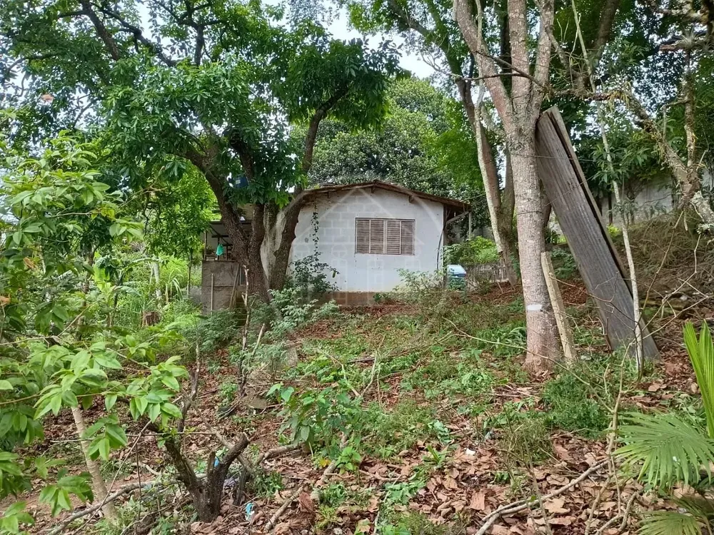 Chácara, 1 quarto, 5000 m² - Foto 4