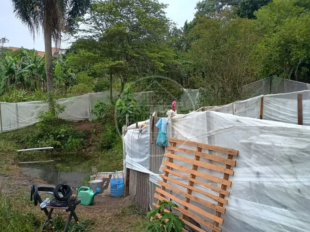 Chácara, 1 quarto, 5000 m² - Foto 5