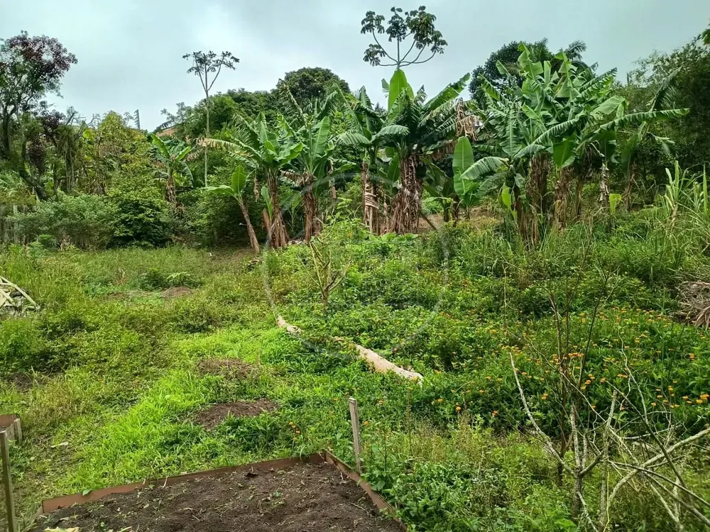 Chácara, 1 quarto, 5000 m² - Foto 7