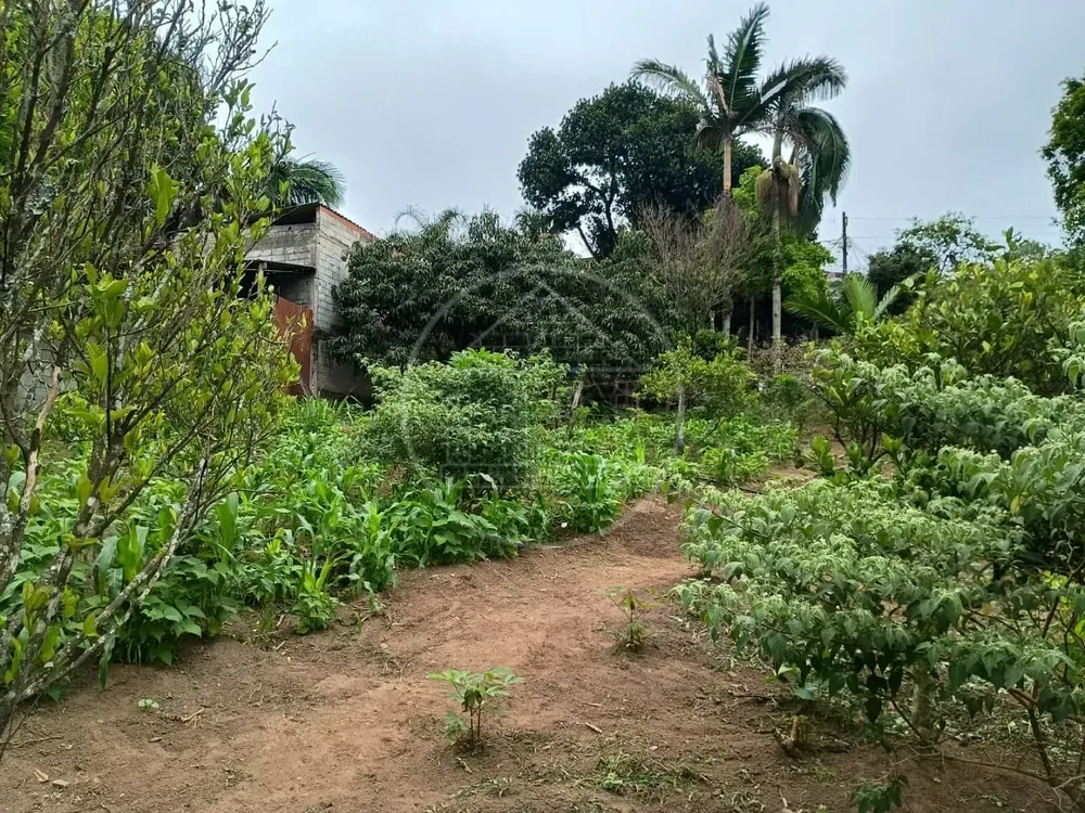 Chácara, 1 quarto, 5000 m² - Foto 8