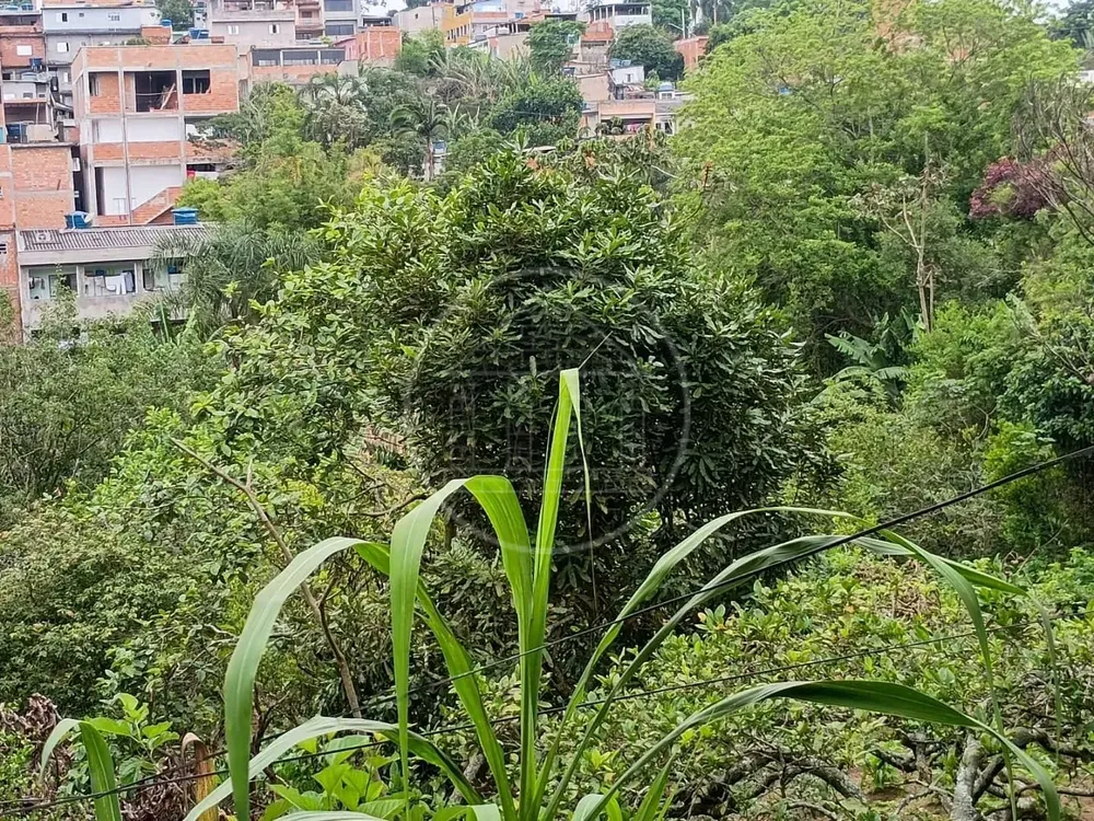Chácara, 1 quarto, 5000 m² - Foto 11
