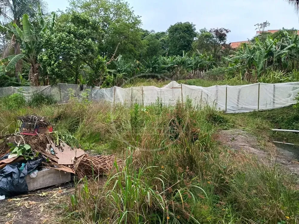 Chácara, 1 quarto, 5000 m² - Foto 15