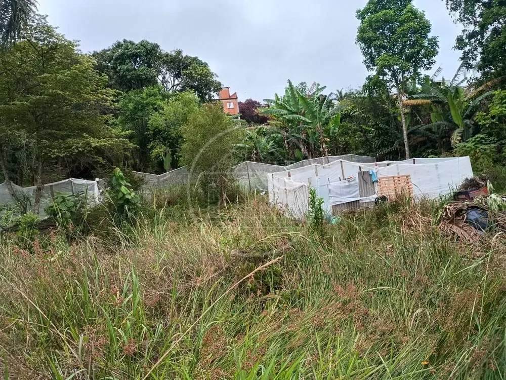 Chácara, 1 quarto, 5000 m² - Foto 9