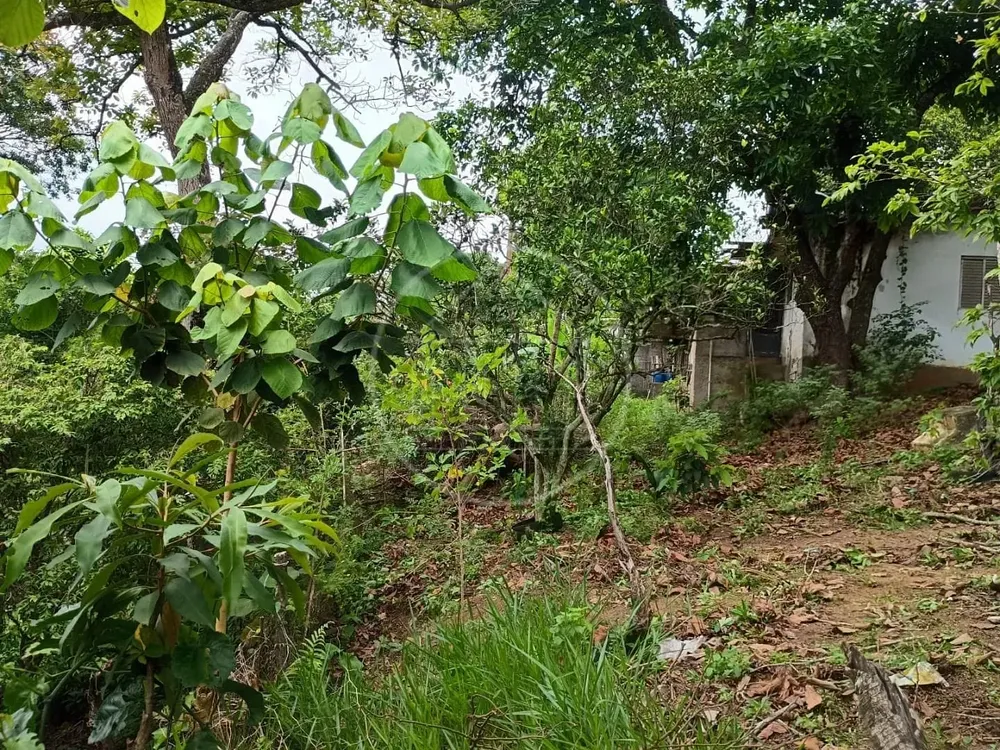 Chácara, 1 quarto, 5000 m² - Foto 6