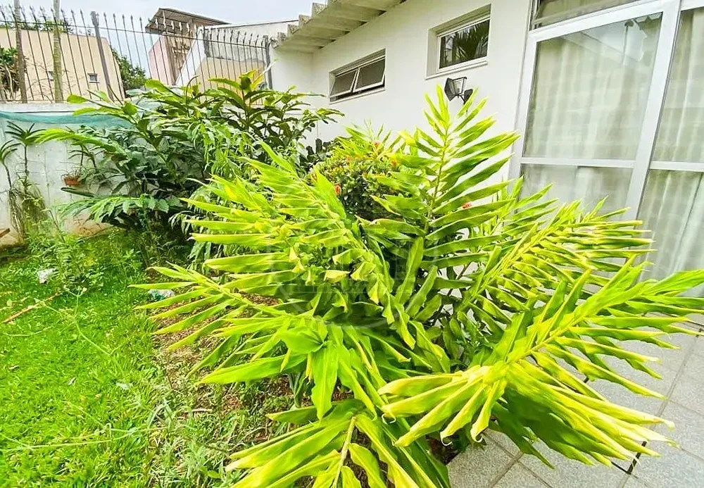 Sobrado, 4 quartos, 283 m² - Foto 15