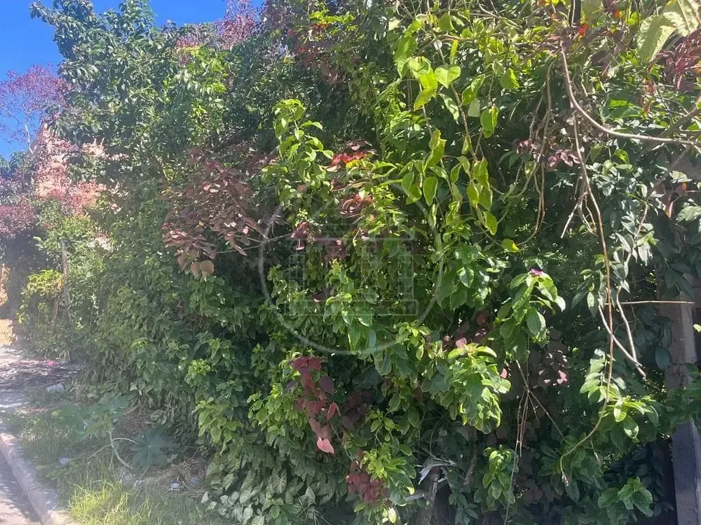 Terreno, 500 m² - Foto 2